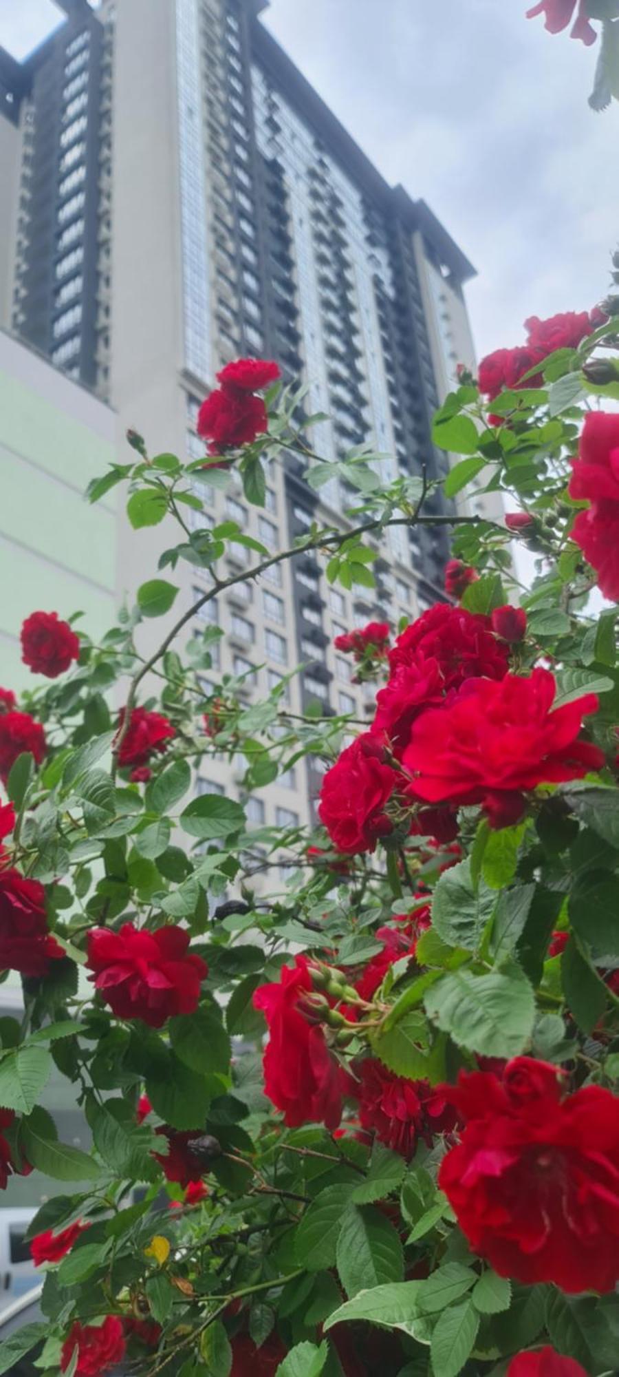Viktory 5 B, Apartments 키예프 외부 사진